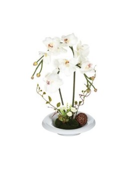 COMPO ORCHIDEE VASE CRMQ H46